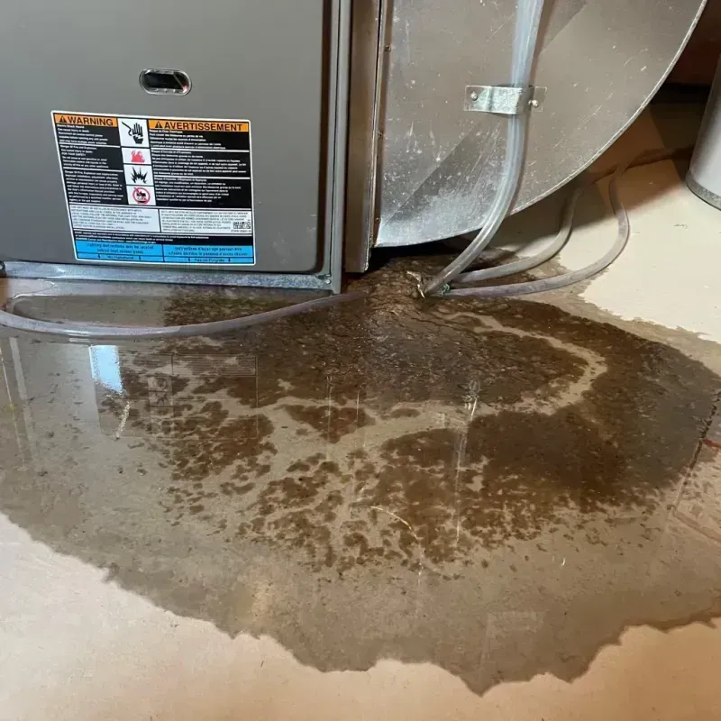 Appliance Leak Cleanup in Lincoln Beach, OR